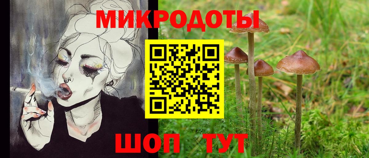 Галлюциногенные грибы ЛСД Чайковский